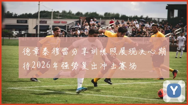 德章泰穆雷分享训练照展现决心期待2026年强势复出冲击赛场